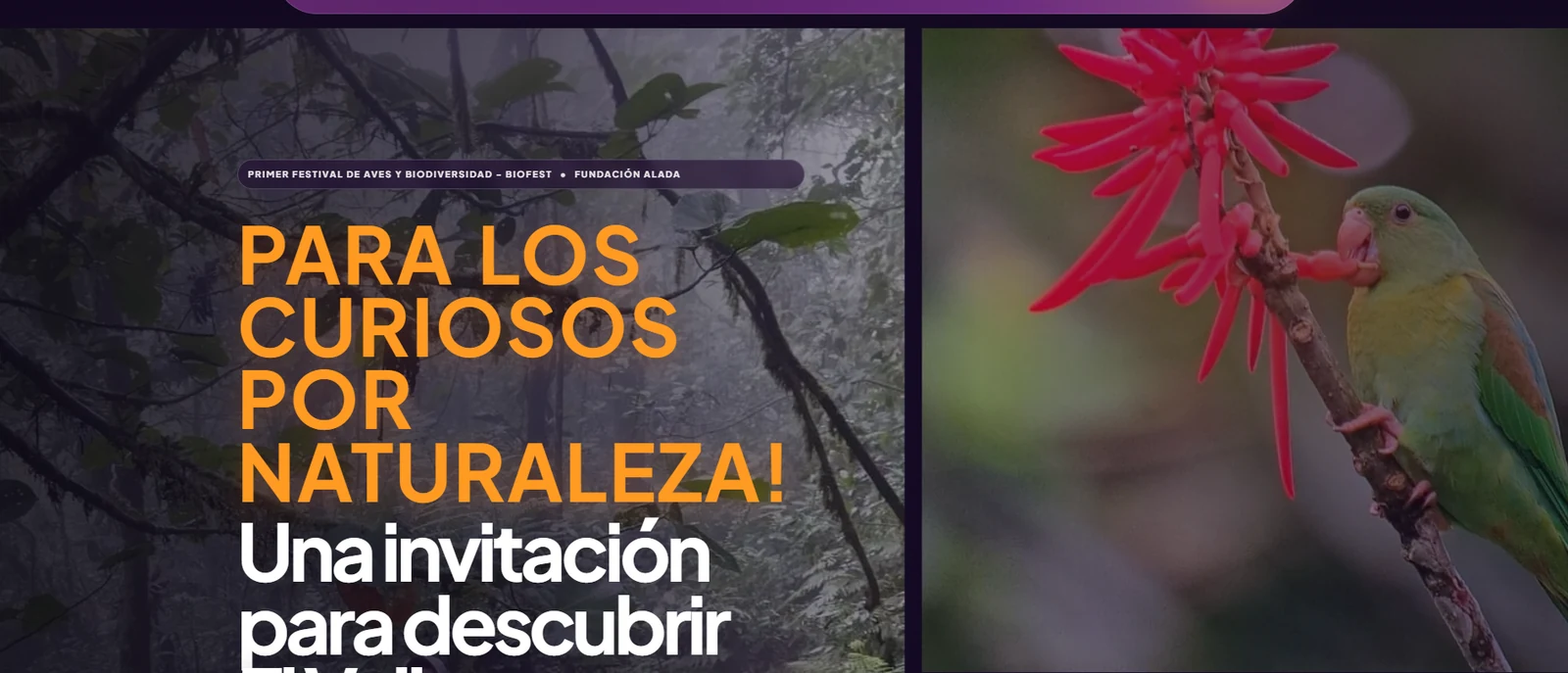 Biofest Panamá